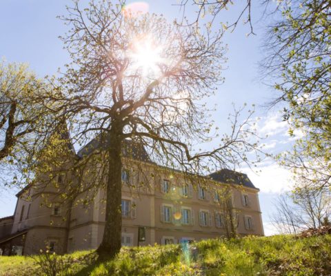 Le Château de Longeval, un bien vendu sur  Agorastore, devenu un lieu zen de Hridaya Yoga